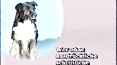 German Teensex Heats Up - Pussy Alert! Gay Porn Action