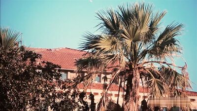 Gay Teen Fist Fucking: L Y L Porn Videos with Big Cocks and Cum Shots!