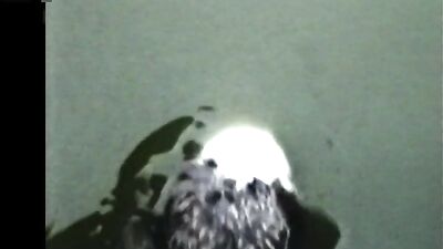 Prince Charming: A Short Gay-Themed Movie