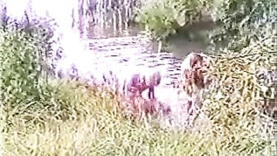 Old Twinks Trees: A Vintage Adventure in Action and Oral Pleasure!