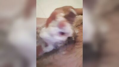 Gay Porn Showers - Amateur Solo Me in the Shower