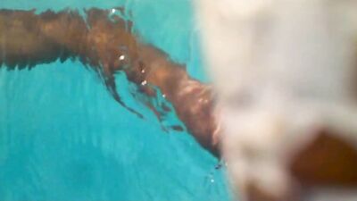 Horny Pool Training: First Time Cum Shots!