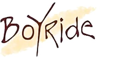 Boy Ride: The Ultimate Action-Packed Bareback Experience!