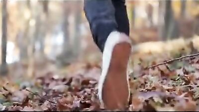 Forbidden Woods Adventure