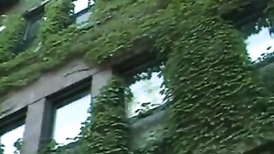 Together at school 3