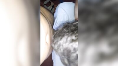 Gay Porn - Big Cocks Father and Step Son Latino: Twinks Brazil Explosion!