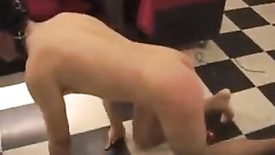 Bound Twink Whip Worship: Hot Blowjobs and Rough Fucking