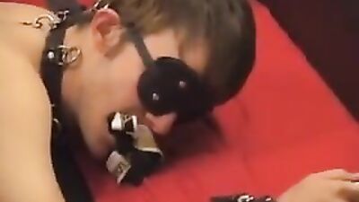 Bound Twink Whip Worship: Hot Blowjobs and Rough Fucking