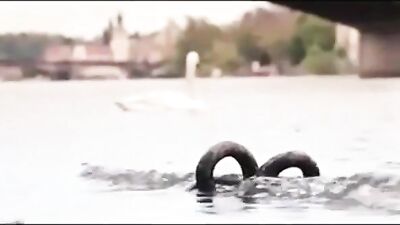 Unleashing Your Inner Desires: Hardcore Gay Action with Cum Shots