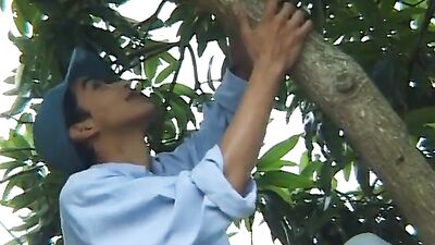 Garden Twinks Latino Seduction