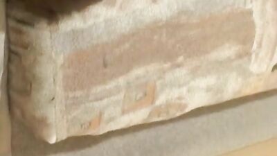 Mareks Bareback Cum Shot Oral Dream Come True