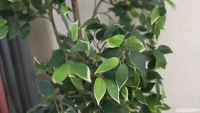 Fucking Alex Hofer POIJ - Gay Bareback Cum Shots Oral Porn!