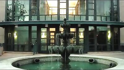 Holiday Twink Dreams: Gay Porn Video Extravaganza!