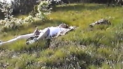 GB 26: The Vintage Collection