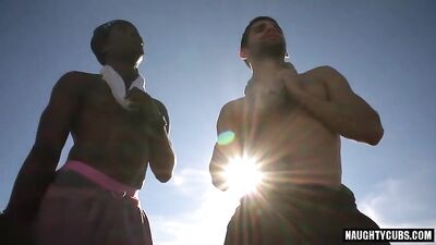 Black Frat Brothers Slammed by BBC Gay Porn Videos: Interracial Bareback Cum Shots with Big Cocks!