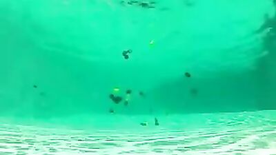 Around The Pool Orgy Porn Gay Tube