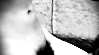 Twink Seduces Friends (Vintage )