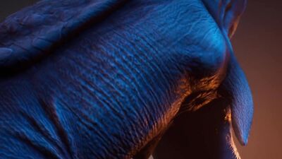 Rhino Cums Inside Twink Boy Hard (Furry Gay Sex) / Wild Life Furries