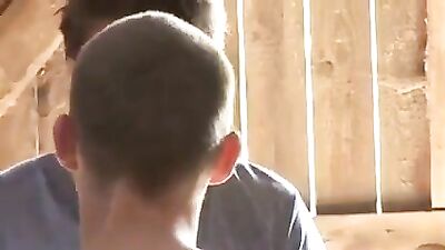 Taking a break in the barn