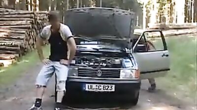 Breakdown in the forest