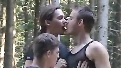 Breakdown in the forest