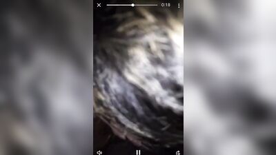 Twink deepthroats Mandingo sized BBC