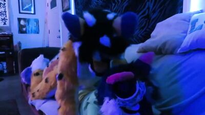 Cumming in the Little Wolf Twice