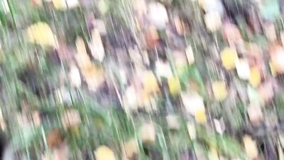 Sucked a stranger in the woods - 377