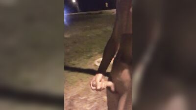 Roadside attraction_cum