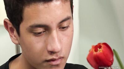 Gangbang Twinks Porn Boys with Dildos and Fucking