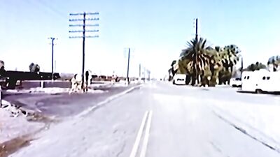 Life and Cock Unleashed - Vintage Gay Porn Videos