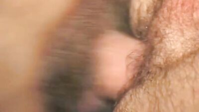 Inside & Out Leo Men: Unleashed Desires