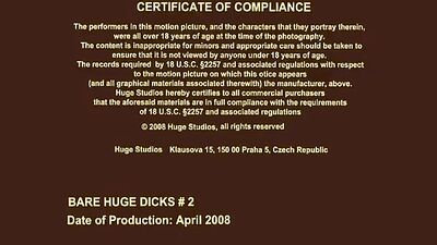 Frat Fucks: Big Cocks and Bad Boys - Gay Porn Videos