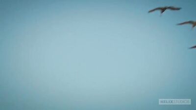 Boys at the beach threeway