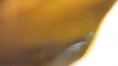 Stuffie gets stuffed