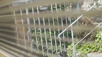 Flip Flop Boys - 149