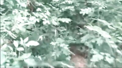 Cruising the woods