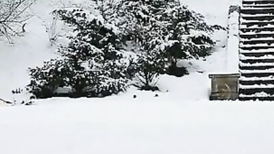 Winter Boys in Heat