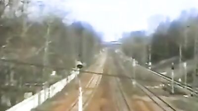 Horny boys dream comes true