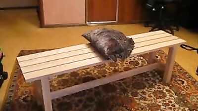 Education in Russia (documentation, 2016)