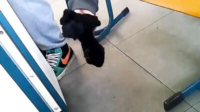 German sock and sneaker lovers