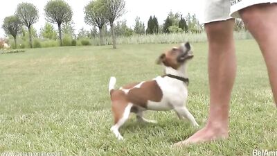 Playing With The Dog Guys Gay Sex Twink