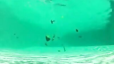 Boys Orgy in the Pool