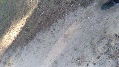 I show my friend my dick