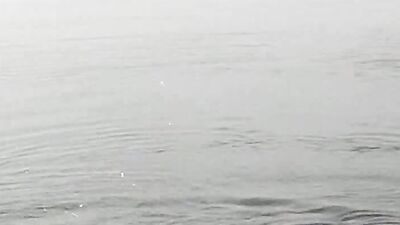 Ben Fucks Mike By the Lake