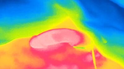 Thermal camera erection, feel the warmth of my cock and see the white hot cum