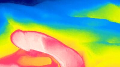 Thermal camera erection, feel the warmth of my cock and see the white hot cum