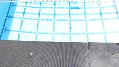 Tom Daley Dives Synchro With GREG LOUGANIS!