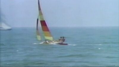 Hardhat Scene In Widescreen Format