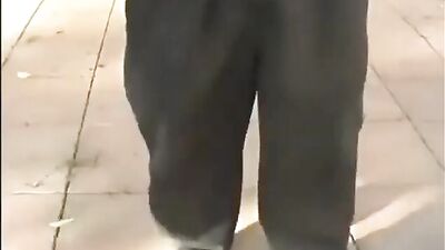 Hot Latin Park Pick Up